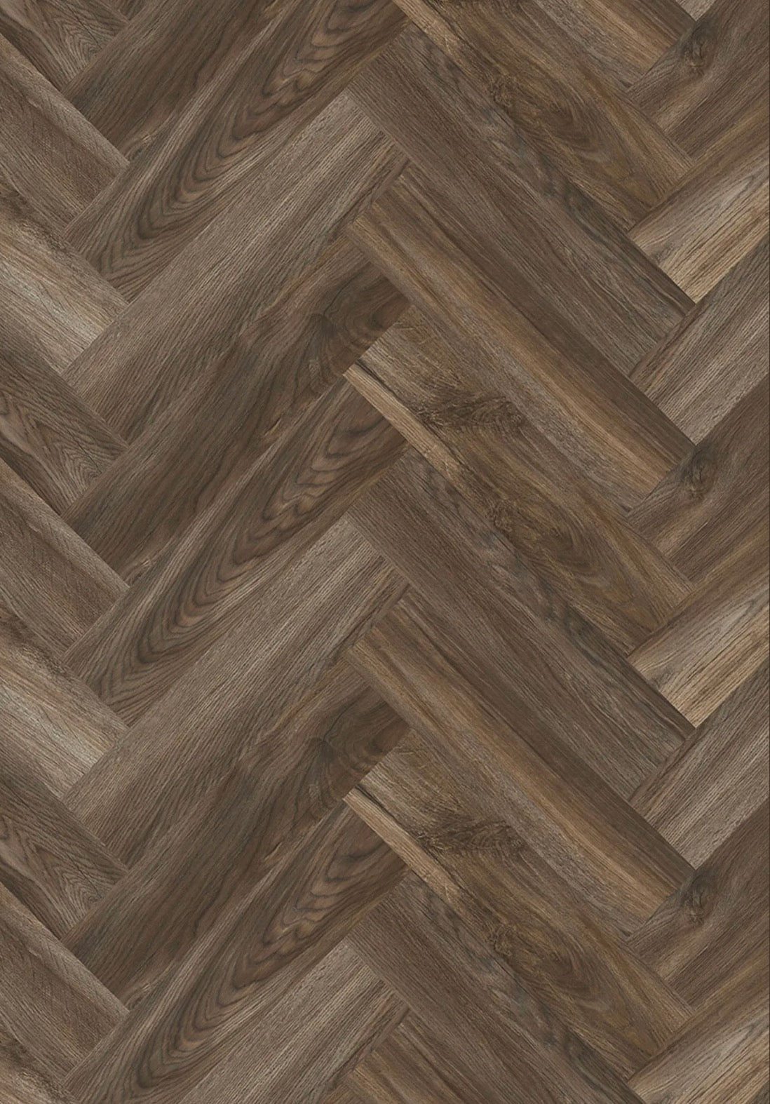 Design 555 Evolut 6,0/0,55mm Fischg.Clic 106 Mud Oak EIR