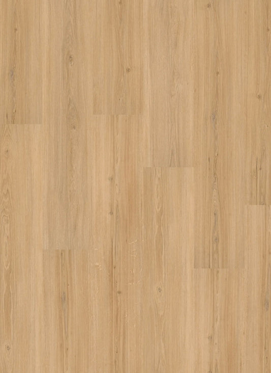 Designboden Homeline 30 Click 4,8/0,3 mm inkl. IXPE 31-15 Risseiche