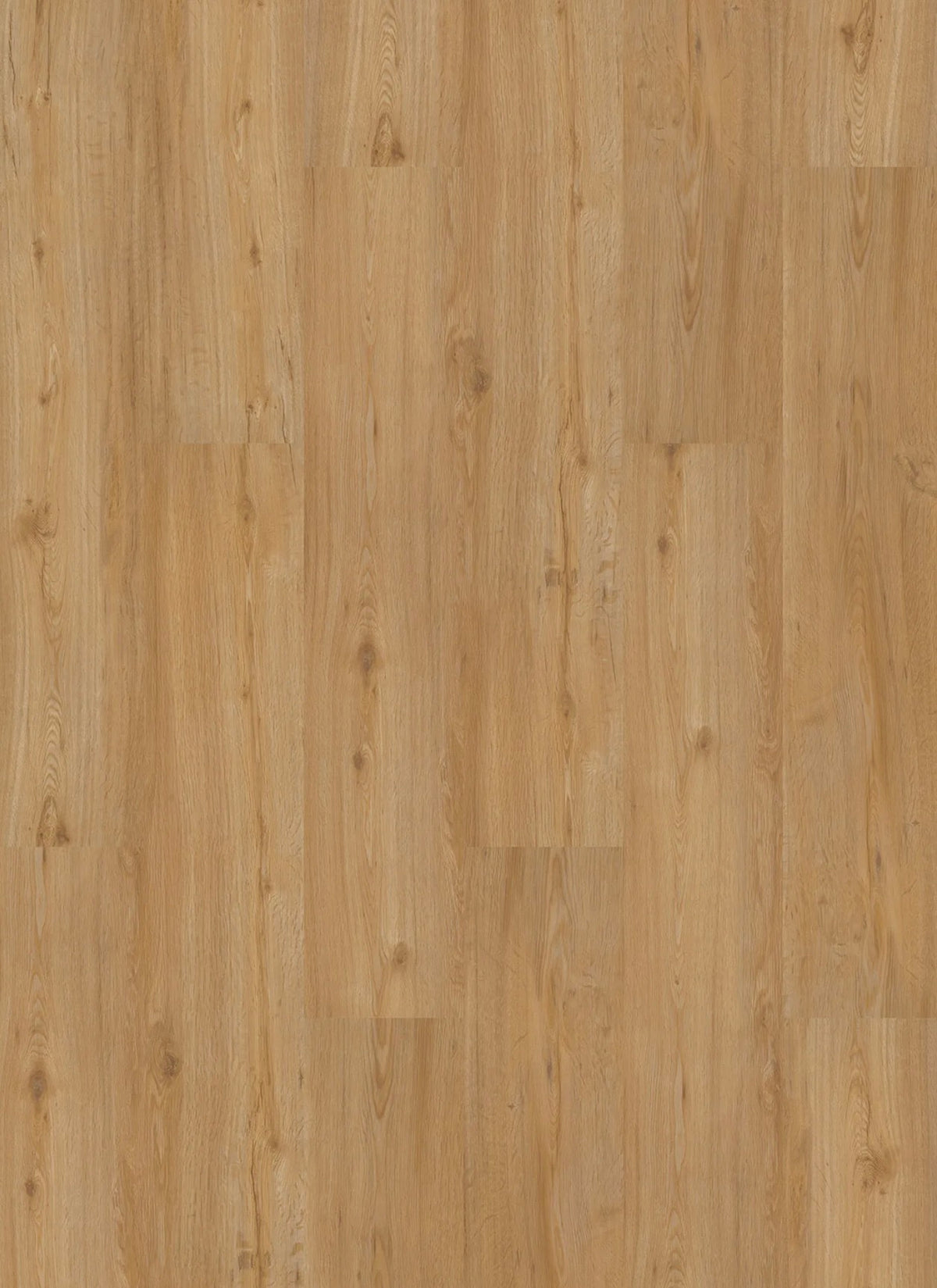 Designboden Homeline 30 Click 4,8/0,3 mm inkl. IXPE 31-19 Feldeiche Na