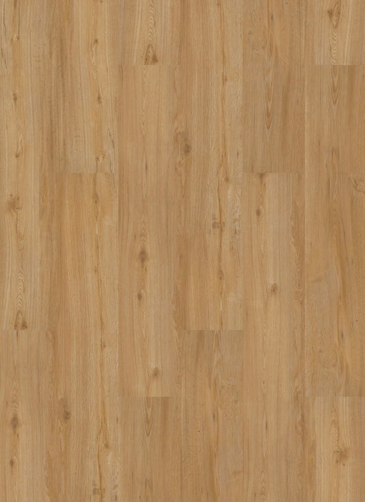 Designboden Homeline 30 Click 4,8/0,3 mm inkl. IXPE 31-19 Feldeiche Na