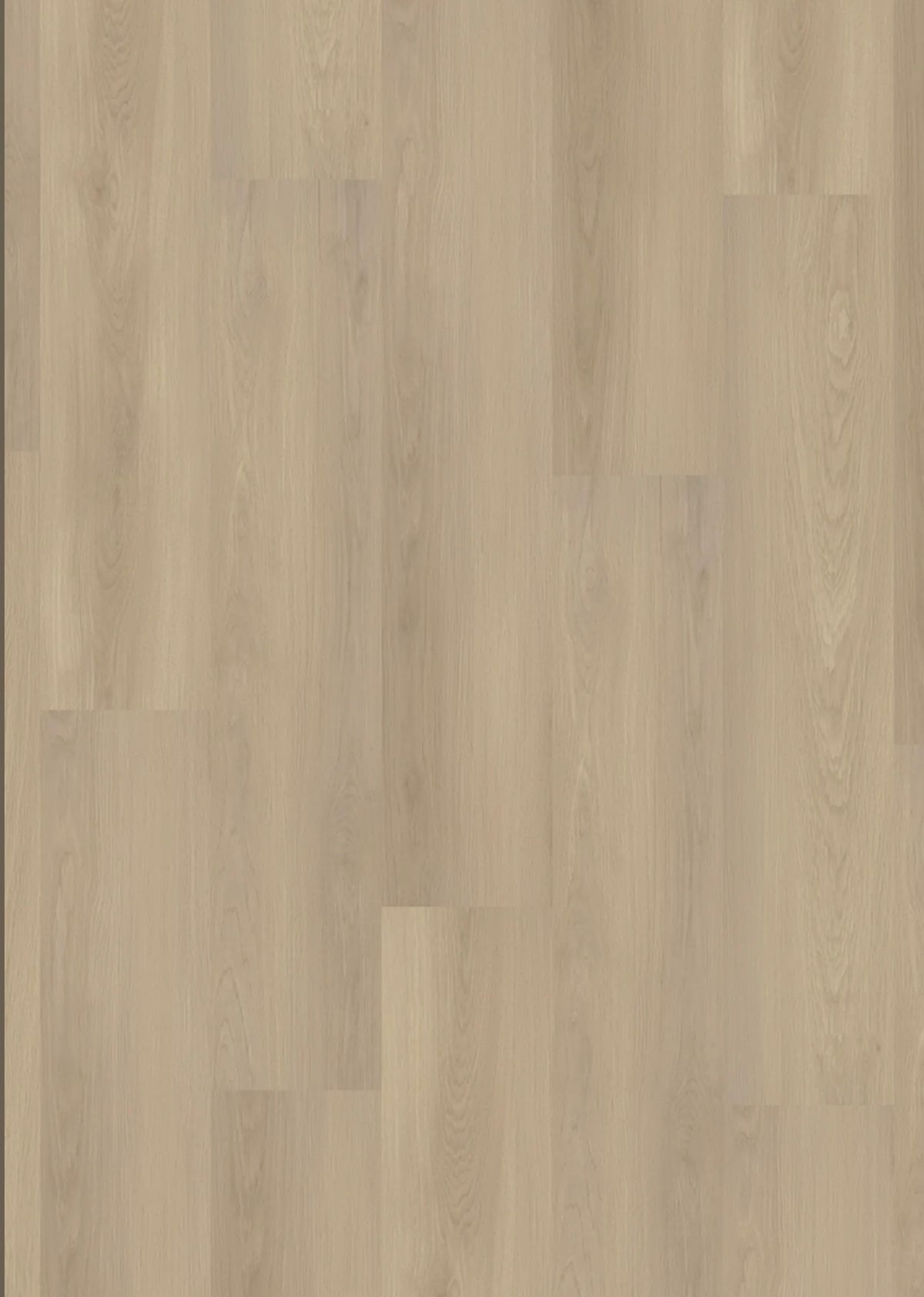 Designboden Homeline 30 Click 4,8/0,3 mm inkl. IXPE 31-23 Nebeleiche