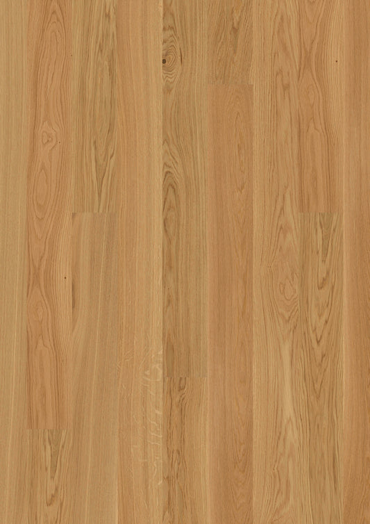 E0903 Eiche geb. ELEGANCE VP